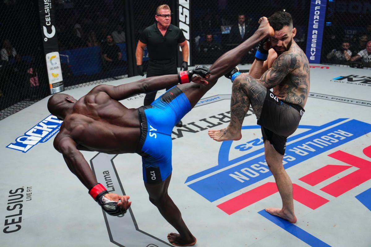 Sadibou Sy lands a spinning head kick on Shane Mitchell. Credit: Yahoo Sports.