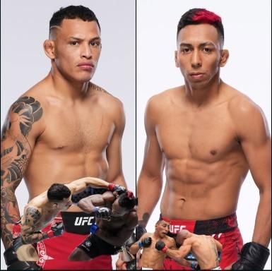 Rodríguez vs. Borjas Prediction 