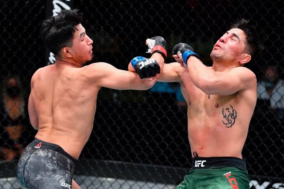 Yanez scoring a 3rd-round knockout over Gustavo Lopez. Credits to: Zuffa LLC.