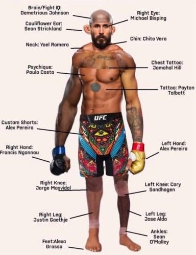 Building the perfect fighter - What would you change ? 