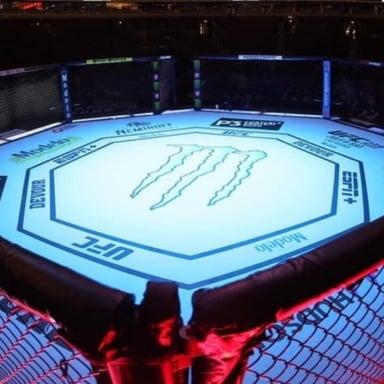 Per MMA Orbit, Dana White names Seattle and Chicago as locations for the UFC in 2025. 