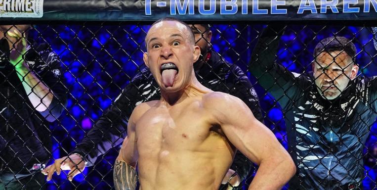 An Update on Kai Kara France 🗞️