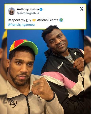 Anthony Joshua shows respect to Francis Ngannou after the fight