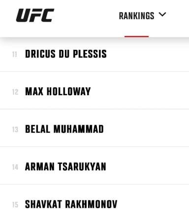 No doubt Jiri Prochazka should be in the P4P rankings instead of Arman Tsarukyan and Shavkat Rakhmonov
