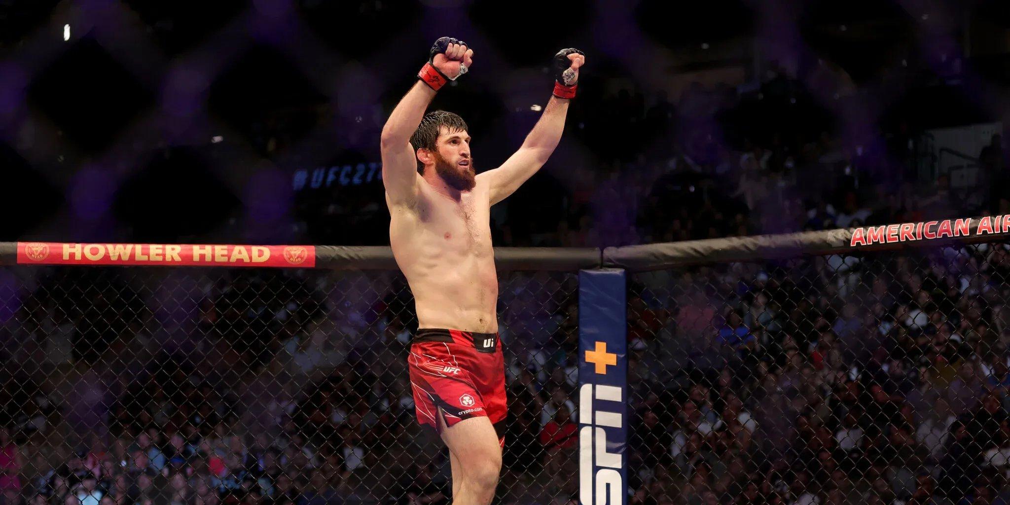 UFC Fight Night: Ankalaev vs. Walker Preview