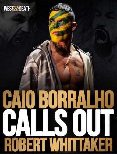 Whittaker v Borralho, or Whittaker v Strickland & Imavov v Borralho?