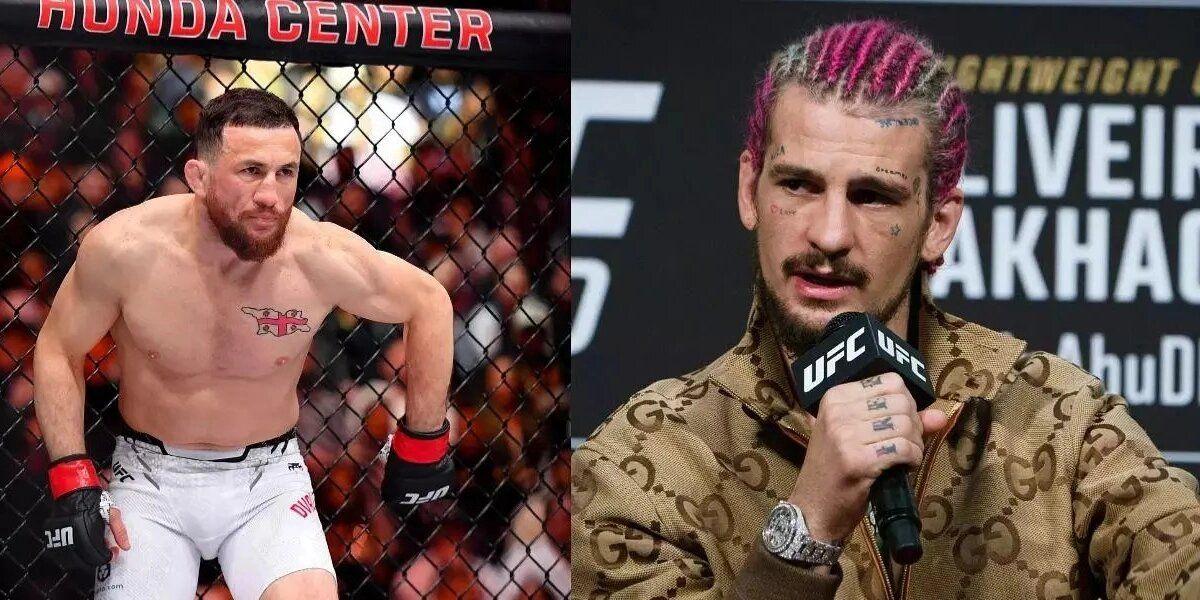 Betting Odds: Sean O'Malley Slight Underdog Against Merab Dvalishvili at UFC 306