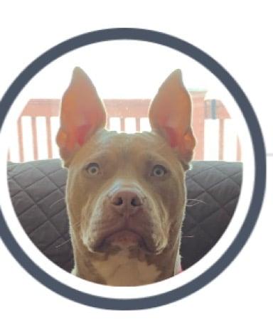 Macarena’s verdict Christmas advent calendar #4 