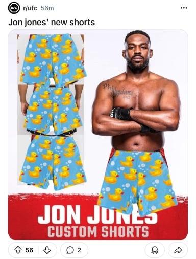 Jon Jones resume