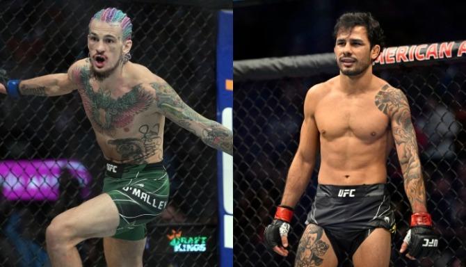 Alexandre Pantoja🇧🇷 vs. 135