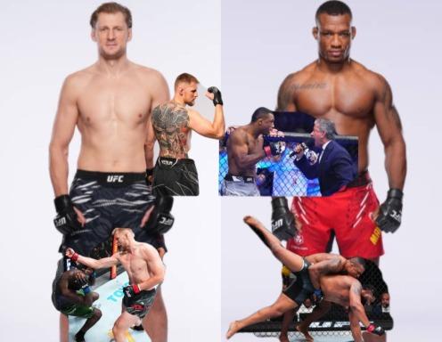 Volkov vs. Almeida Prediction 