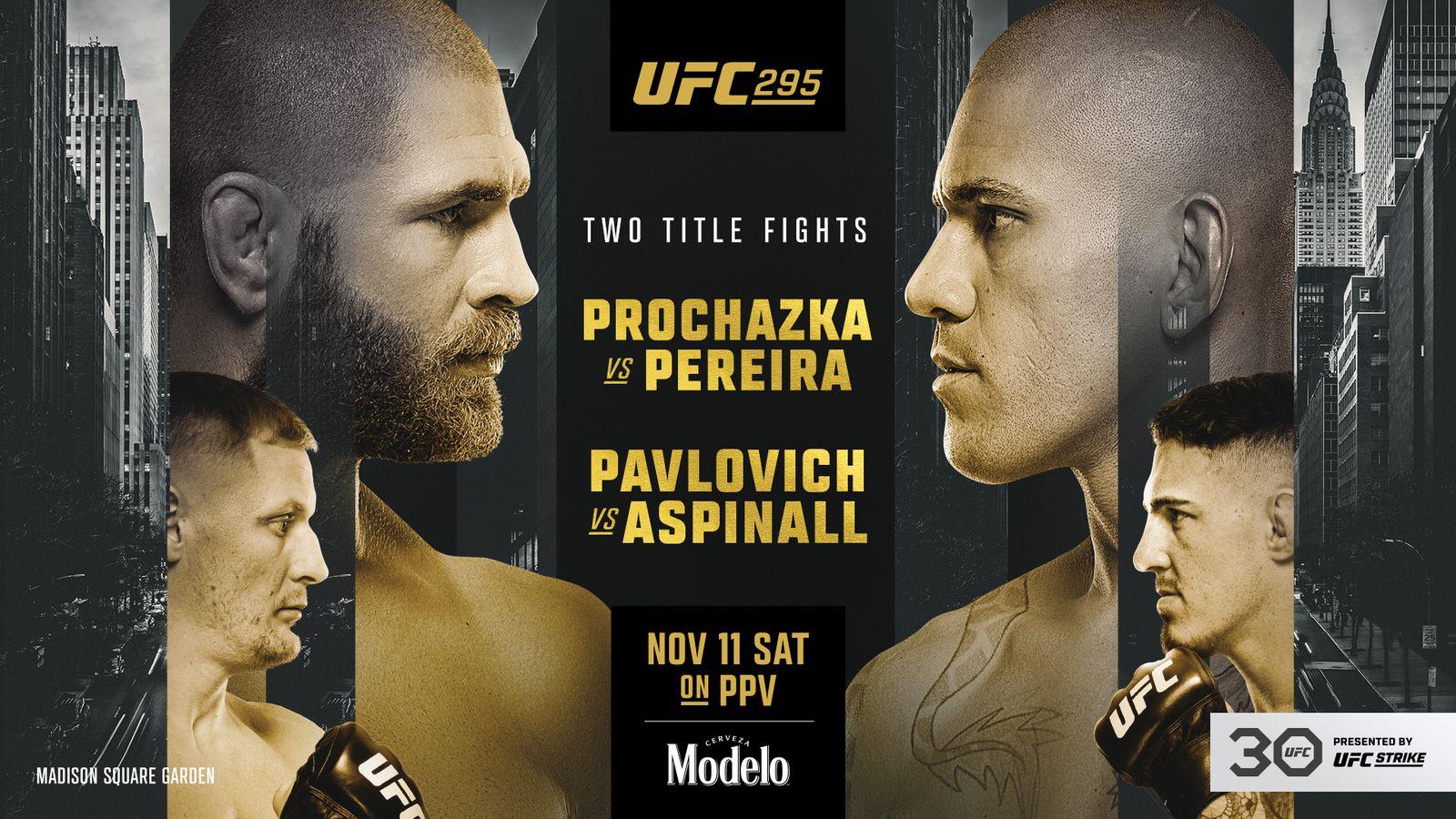 UFC 295 Preview