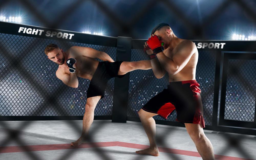 Breaking Stereotypes: MMA Athletes in Academia