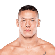 Costello van Steenis