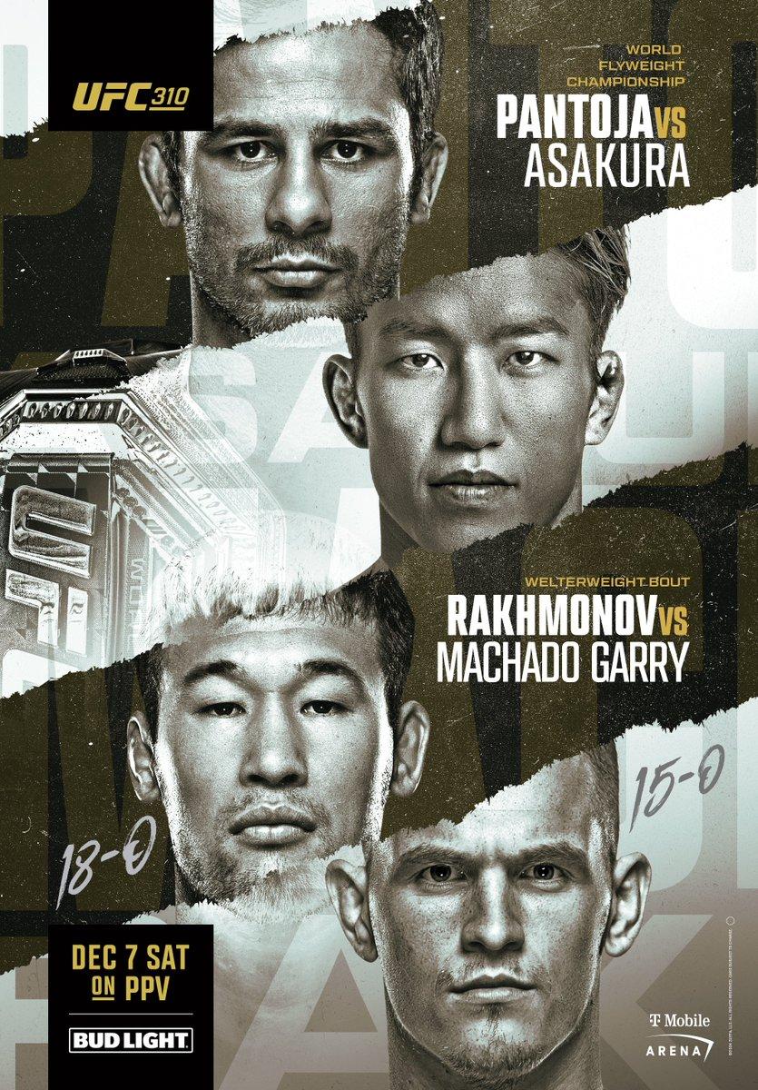 UFC 310 poster