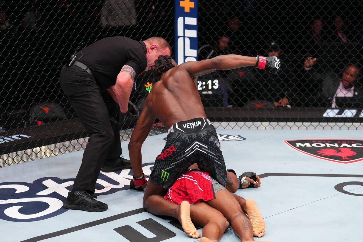 Jalin Turner rains down ground and pound onto Bobby Green. Credit: MMA Mania.